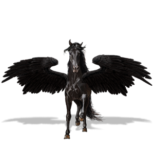 Pegasus-Coats-the-new-howrse-32623171-300-300